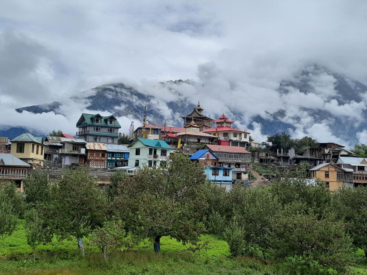 Wanderers Homestay -All Mountain Facing Rooms Кальпа Экстерьер фото