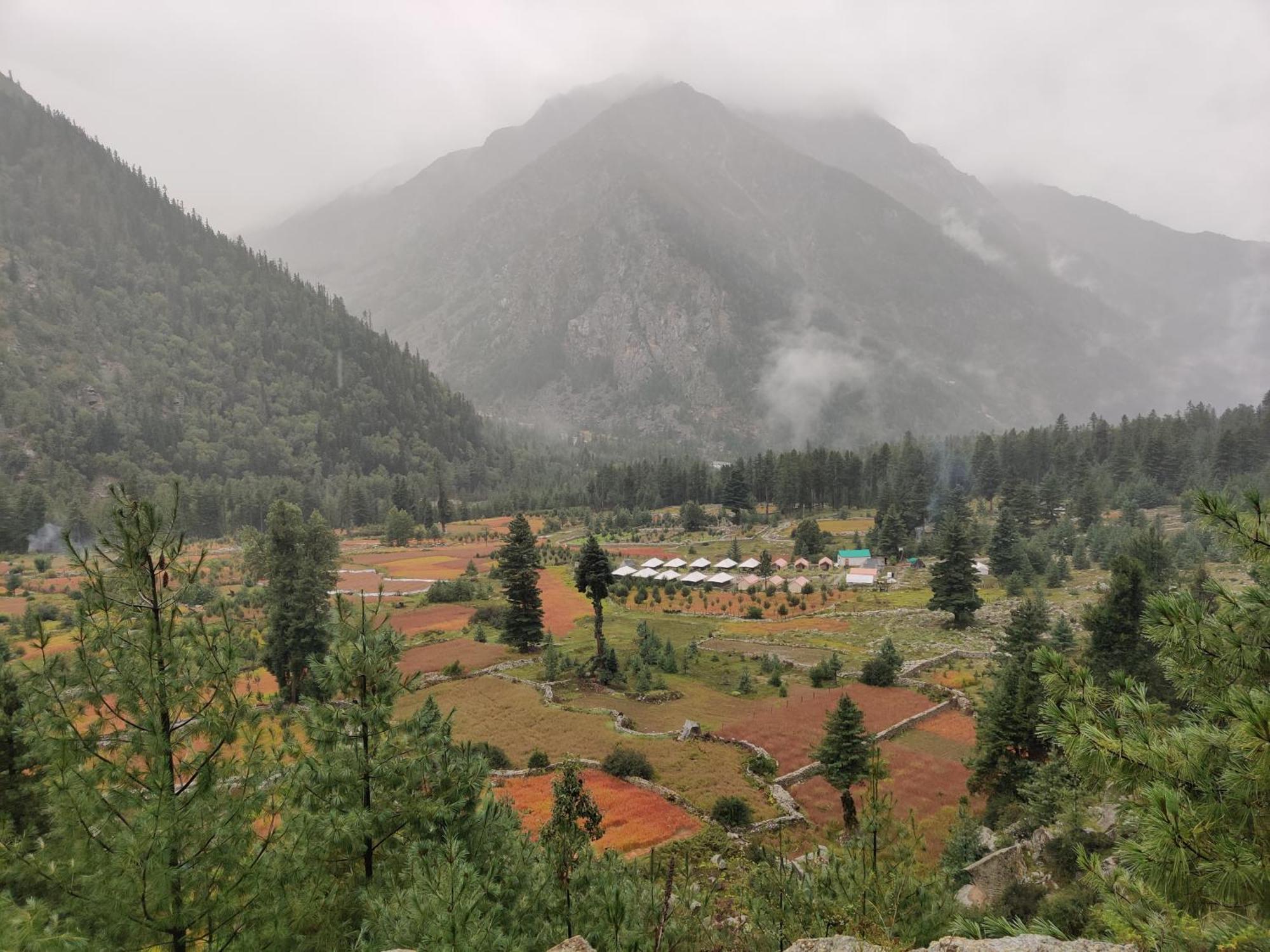 Wanderers Homestay -All Mountain Facing Rooms Кальпа Экстерьер фото